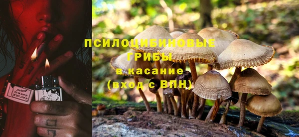 дурь Алексин