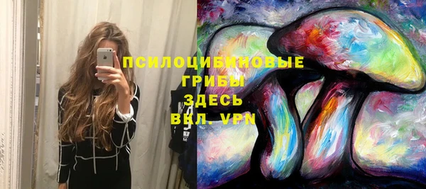 2c-b Алзамай