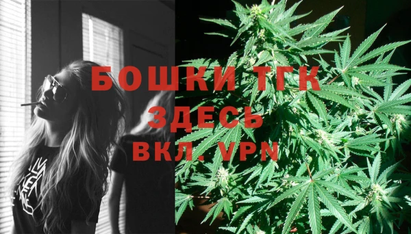 дурь Алексин