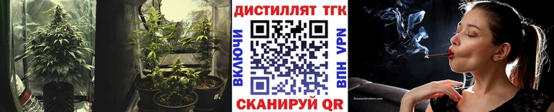 цены наркотик Дмитриев Дистиллят ТГК Wax