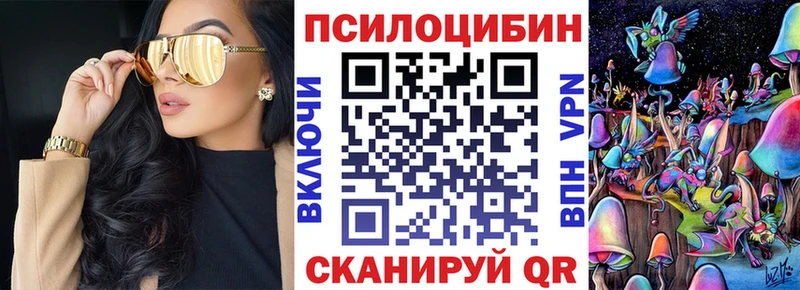 MEGA   Дмитриев  дарк нет телеграм  Псилоцибиновые грибы Psilocybe 
