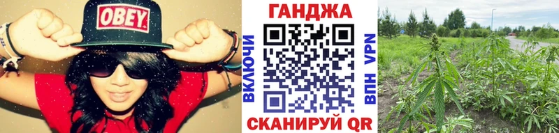 ОМГ ОМГ маркетплейс  продажа наркотиков  Дмитриев  Конопля план 